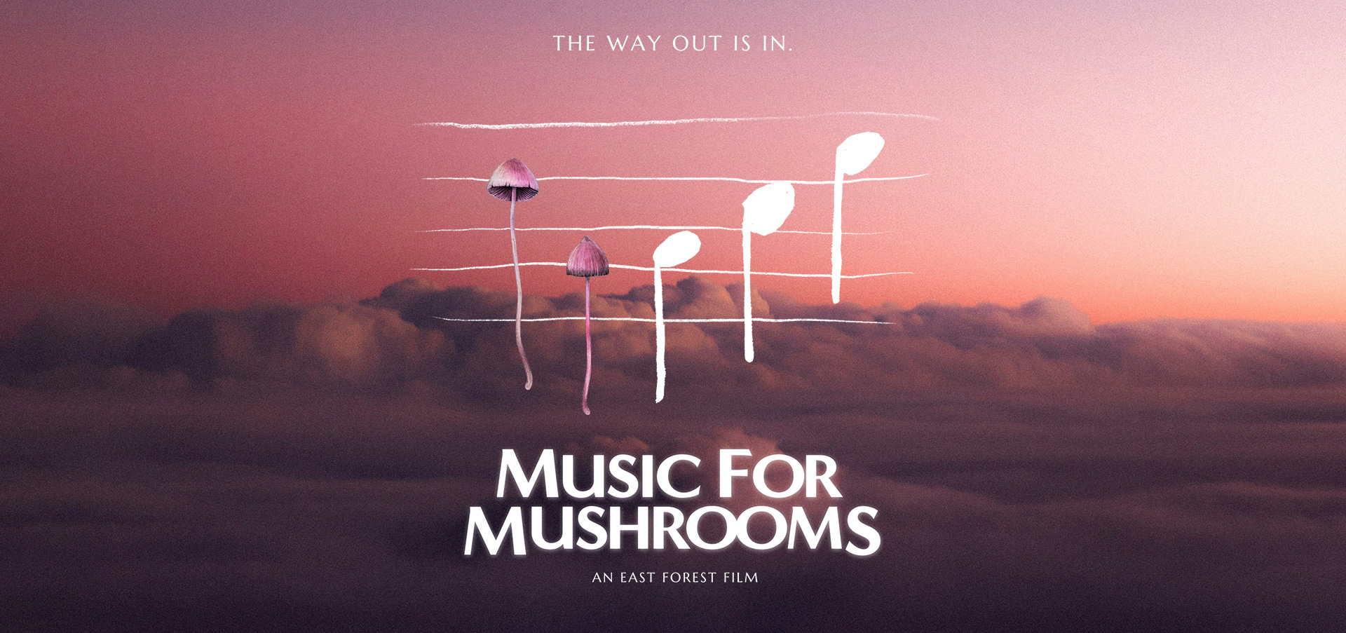 Psilocybin Safety Circle: Music for Mushrooms film screening &amp; discussion