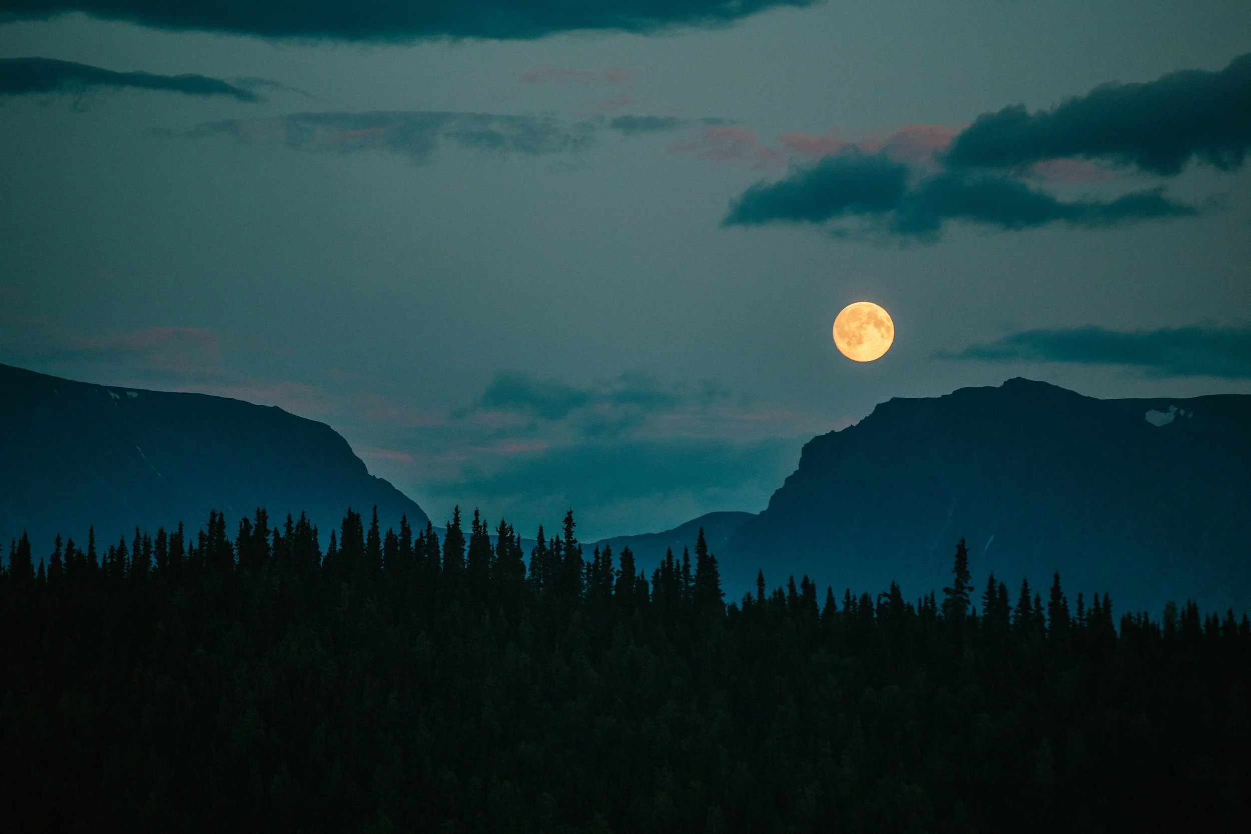 Grief and the Path Back to Ourselves