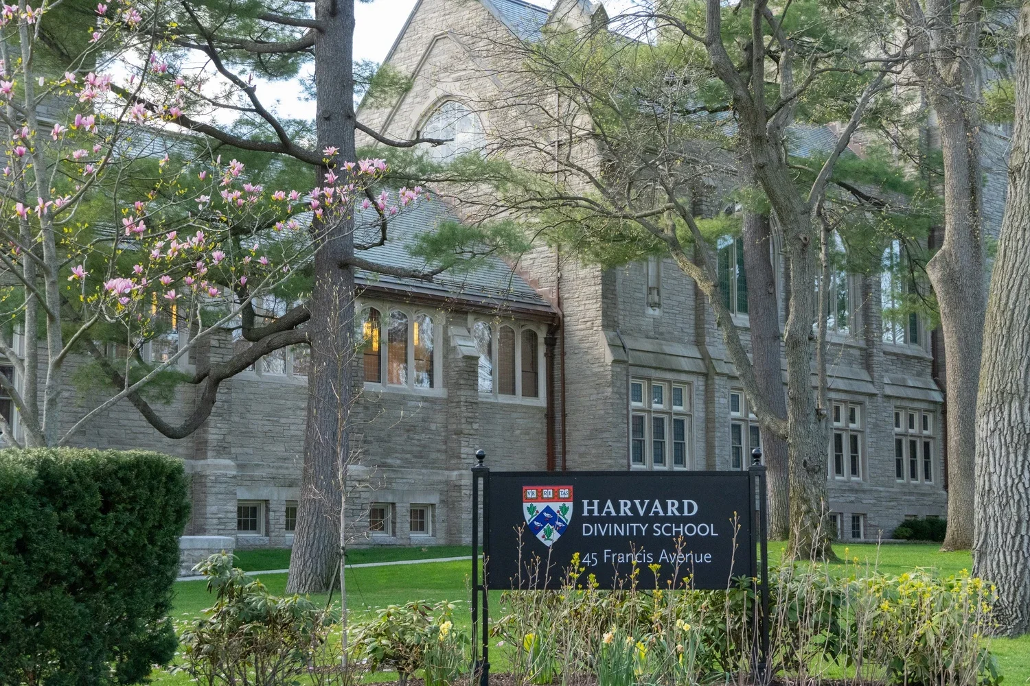 26 | Harvard's Last Psychedelic Intersections Conference: A Practitioner's Review