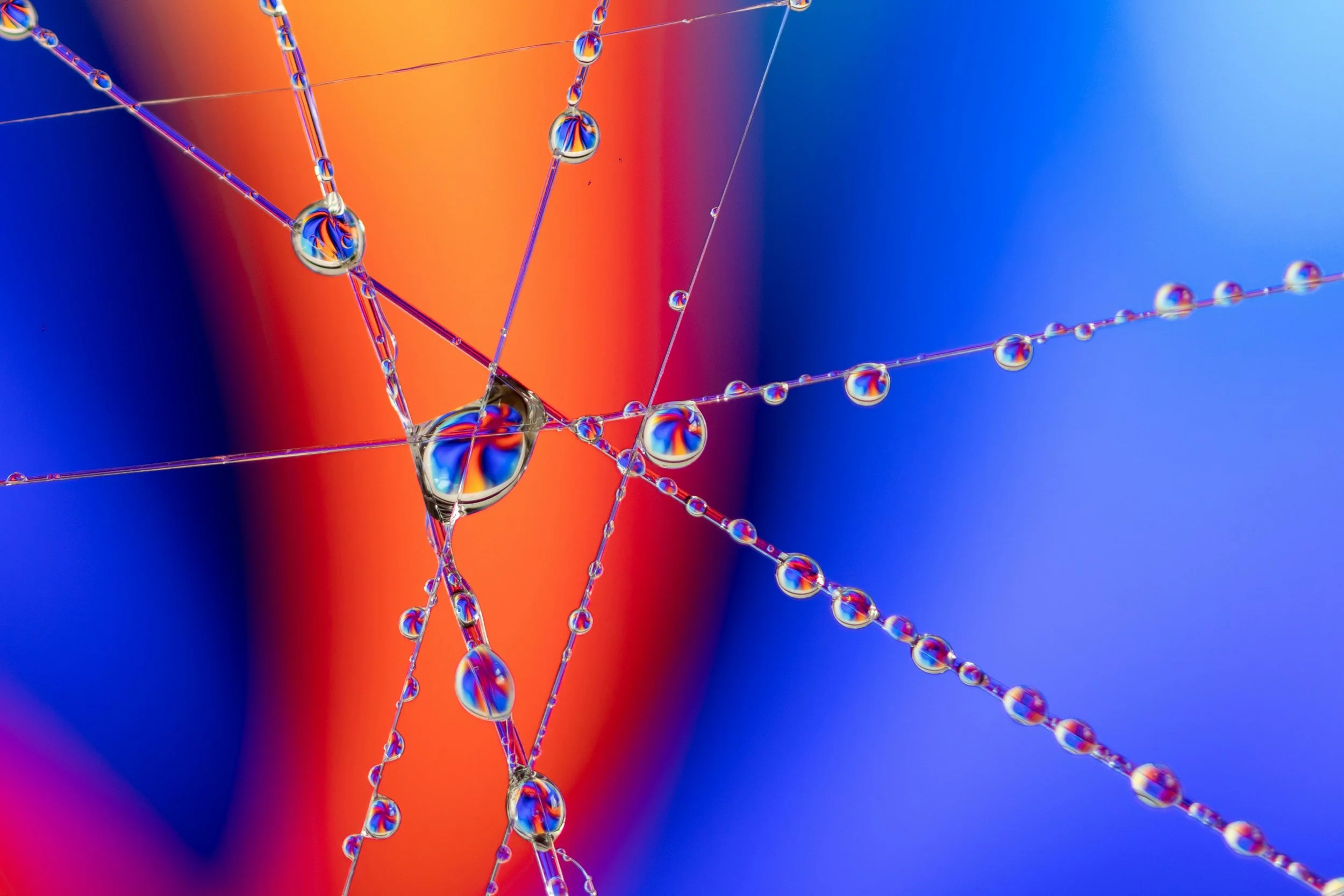 29 | Leary's Eight Circuits: A Map of Consciousness That Both Frees and Binds