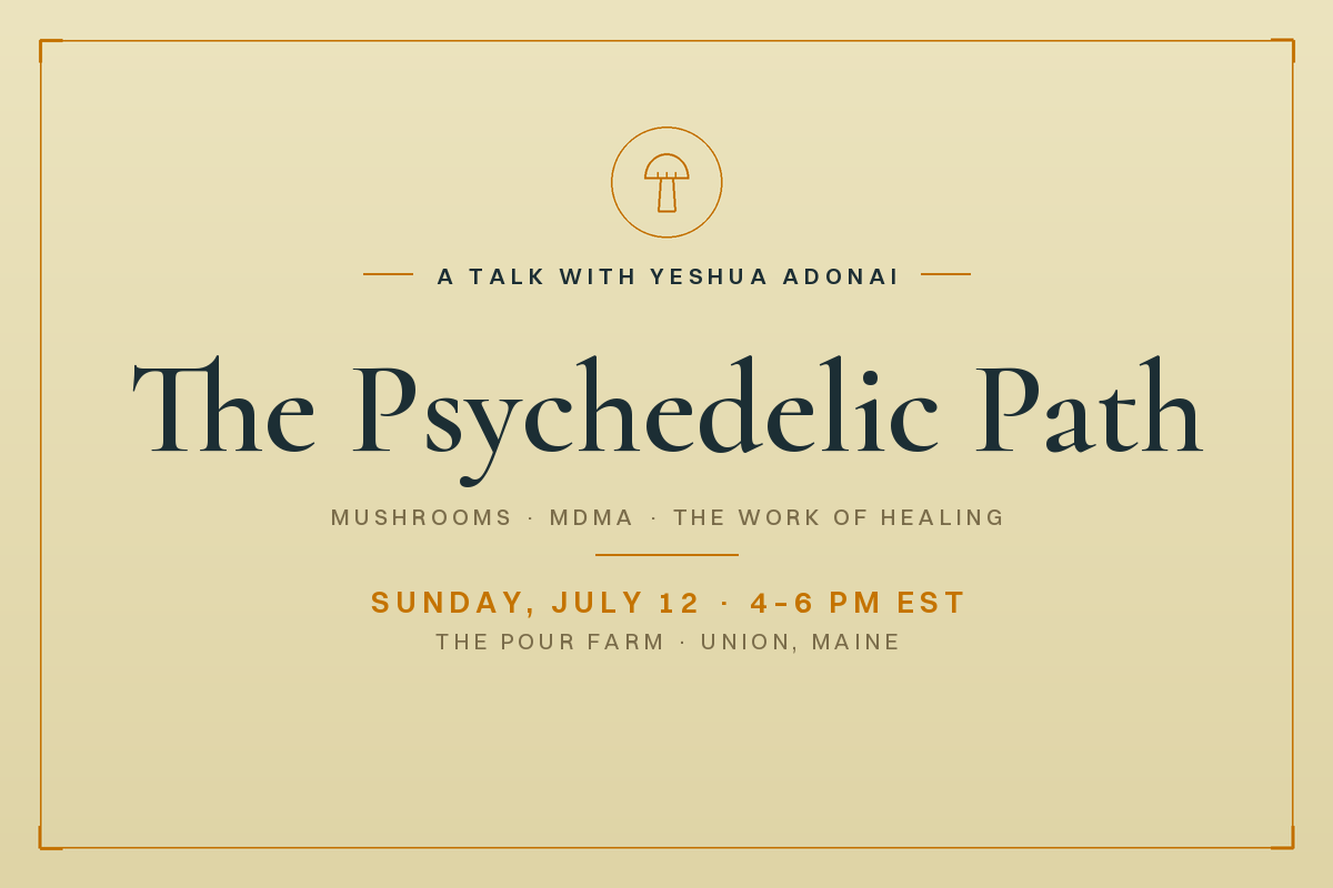 The Psychedelic Path: An Evening Talk