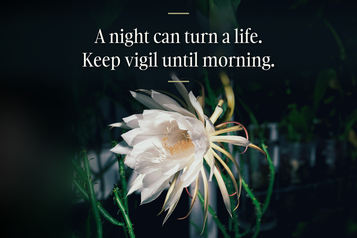 A white night-blooming cactus flower open against dark leaves, with the line in white serif: A night can turn a life. Keep vigil until morning.
