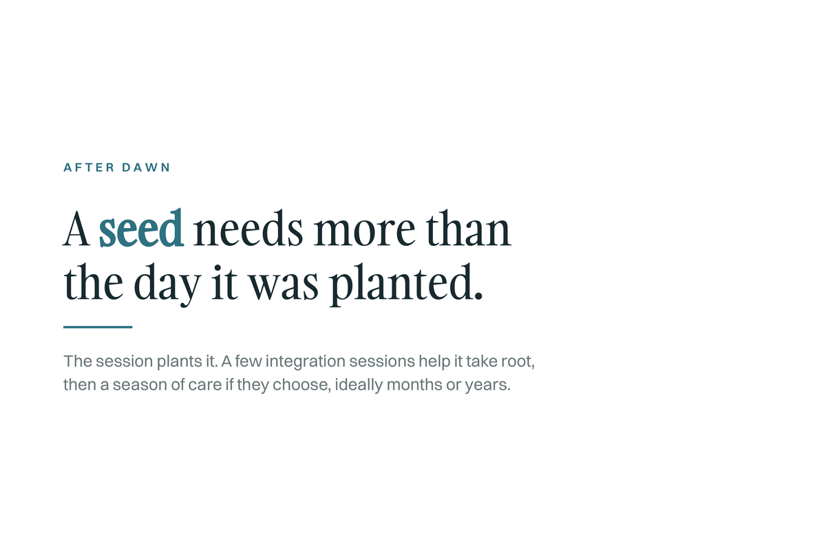 White quote card. Kicker: After Dawn. A seed needs more than the day it was planted. Below it: The session plants it. A few integration sessions help it take root, then a season of care if they choose, ideally months or years.