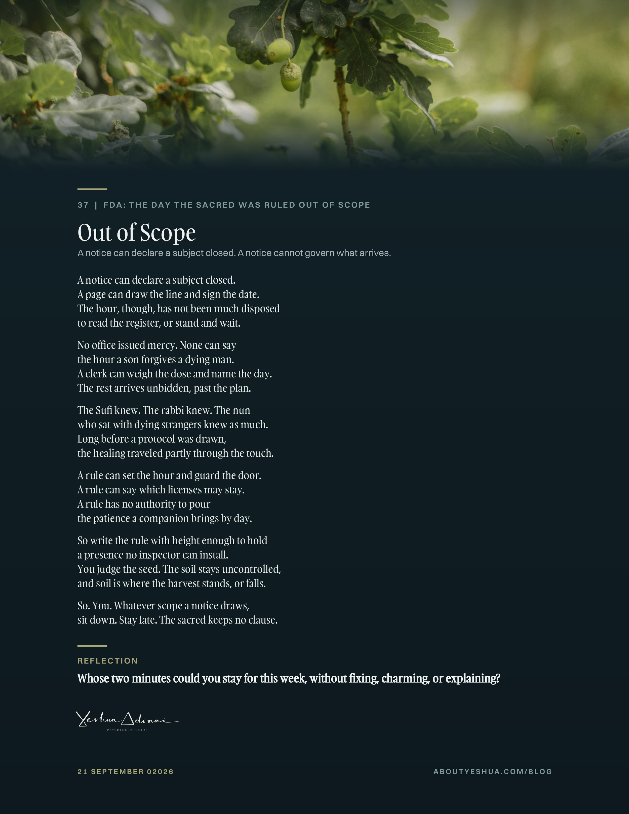 Printable page of the poem Out of Scope: six stanzas in white serif on a dark teal ground under a photograph of oak leaves and acorns.