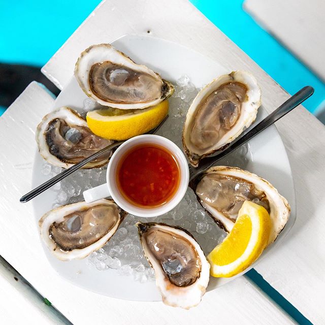 $1 oysters during Happy Hour! 5-8pm Tuesday to Friday! #lazypointnyc
