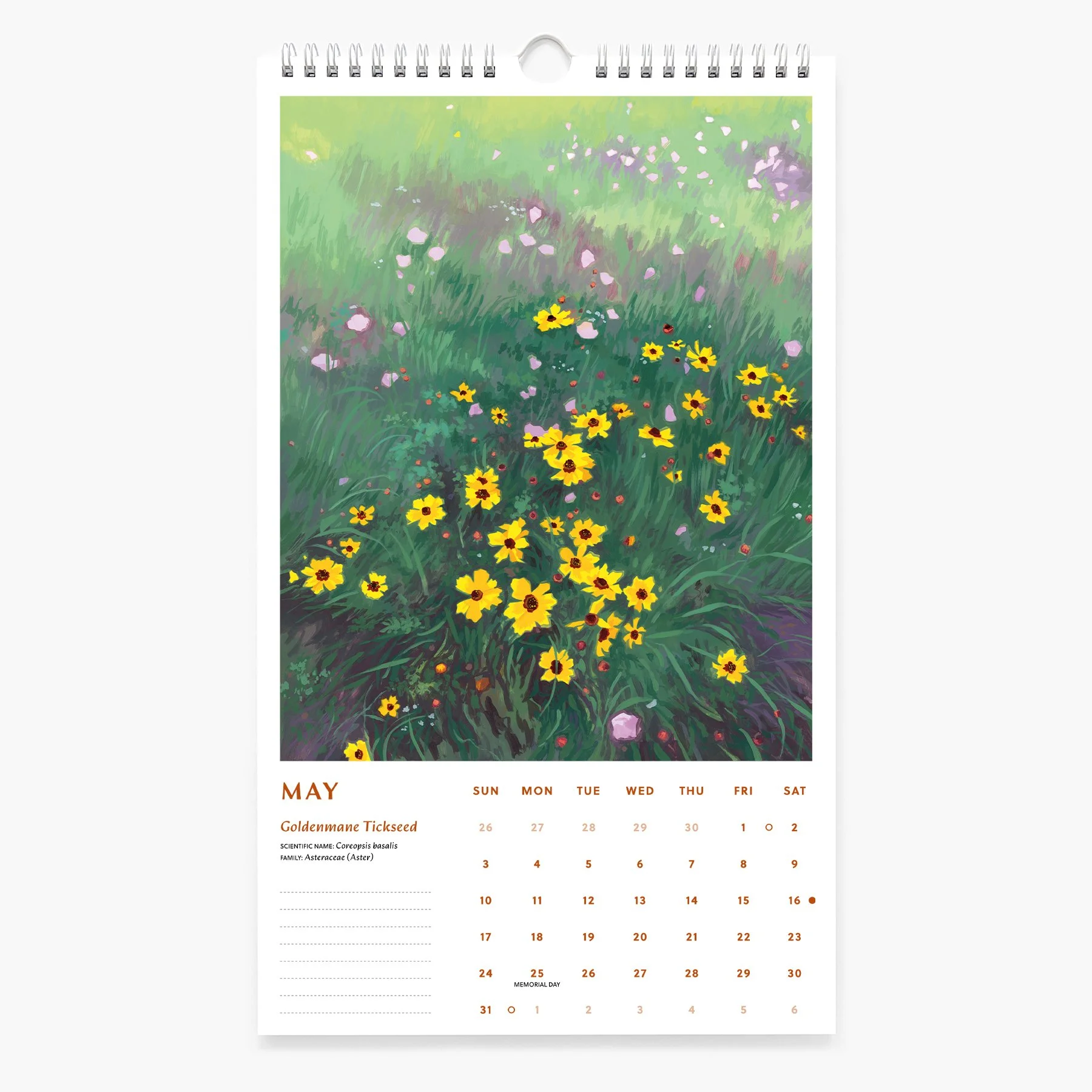 5-MAY_2026 Calendar._Sarah Moorejpg.jpg