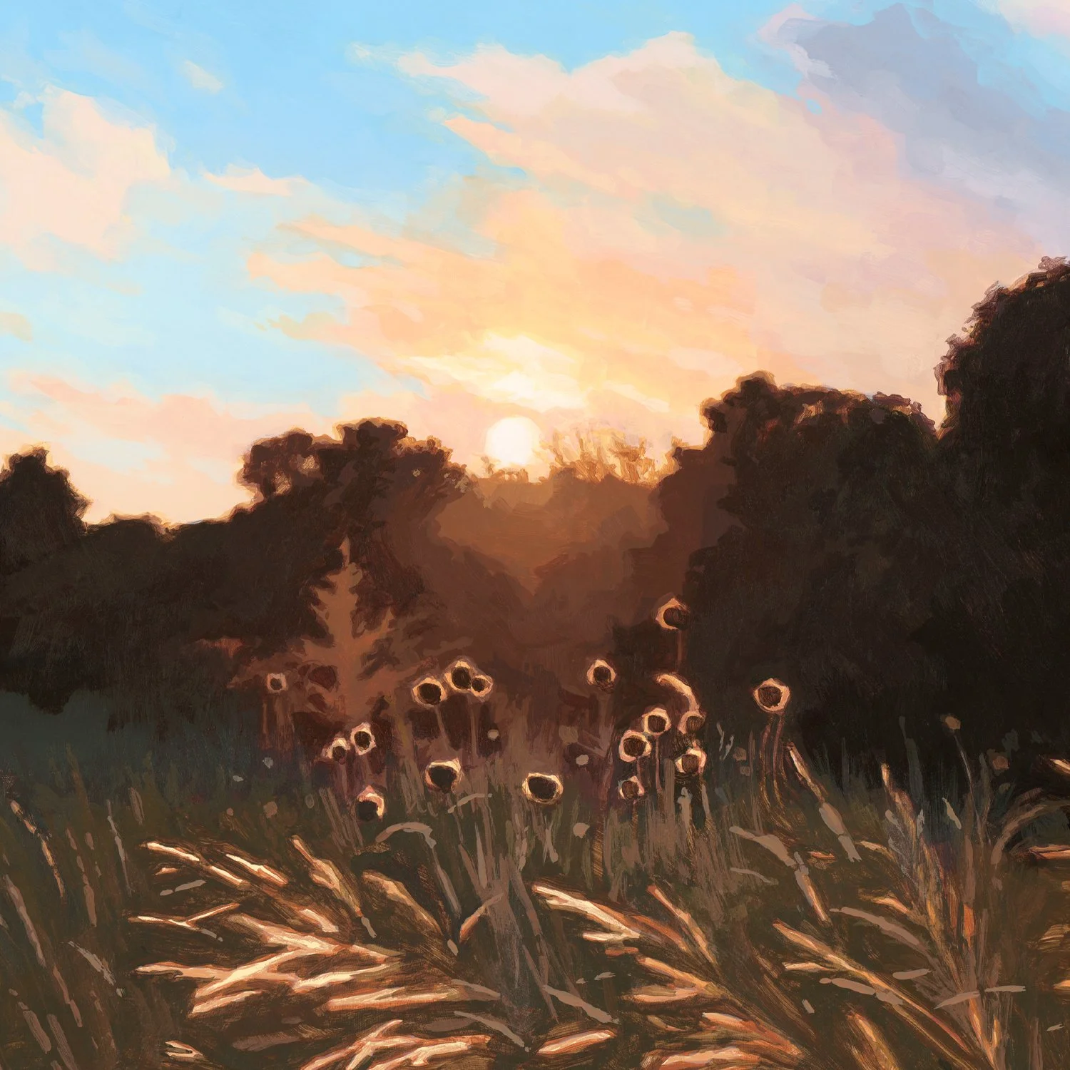 Sarah Moore_Tallgrass Prairie Sunset_Detail.jpg