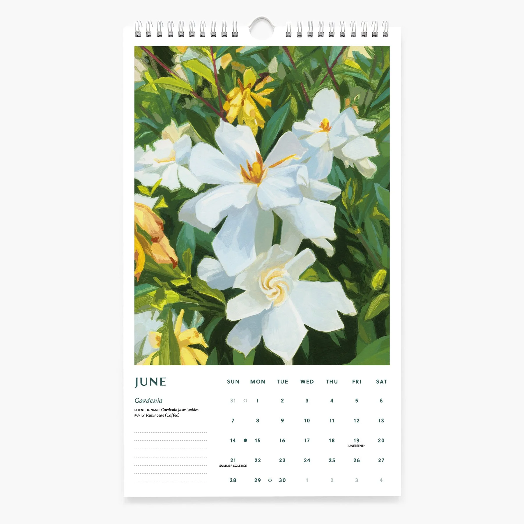6-JUN_2026 Calendar_Sarah Moore.jpg