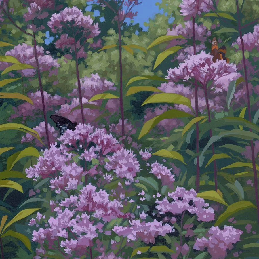 Sarah Moore_Joe Pye Weed_Detail1.jpg