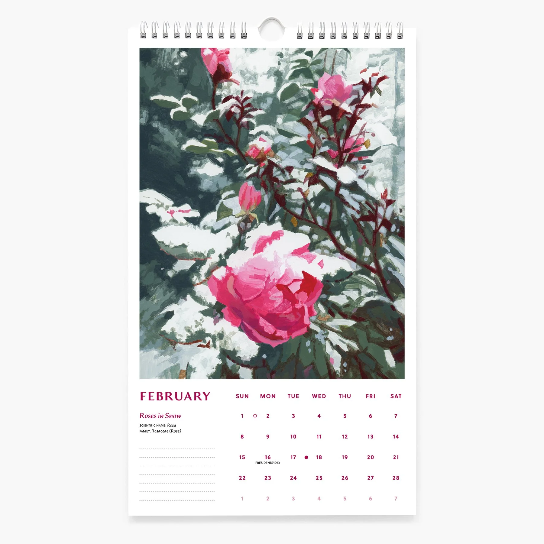 2-FEB_2026 Calendar_Sarah Moore.jpg