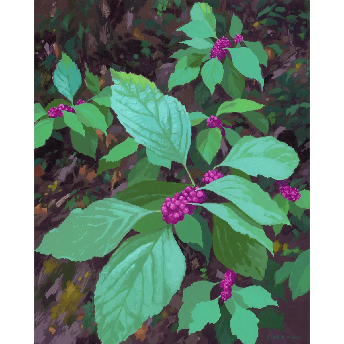 Beautyberry_Web.jpg