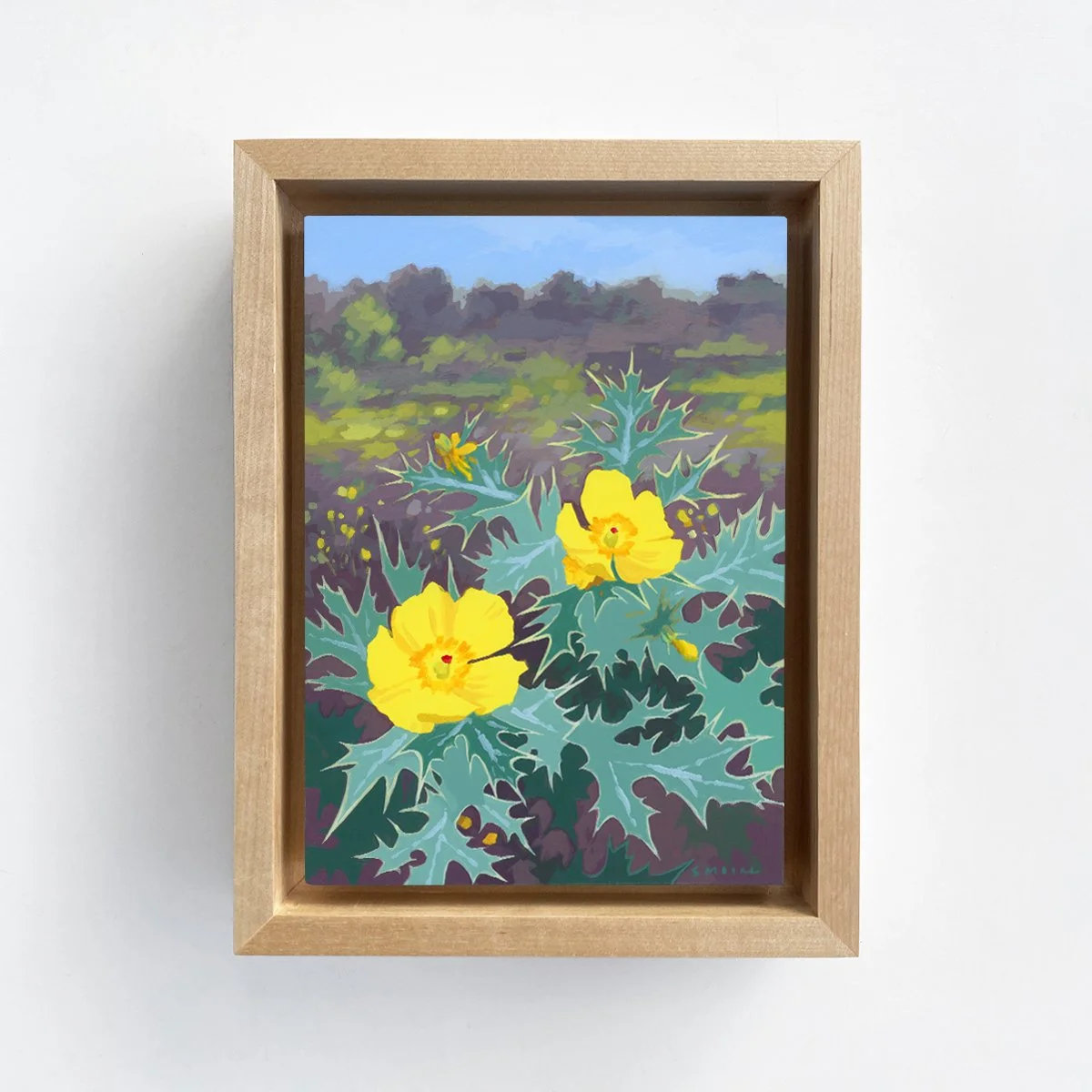 Mexican Prickly Poppy_Framed.jpg