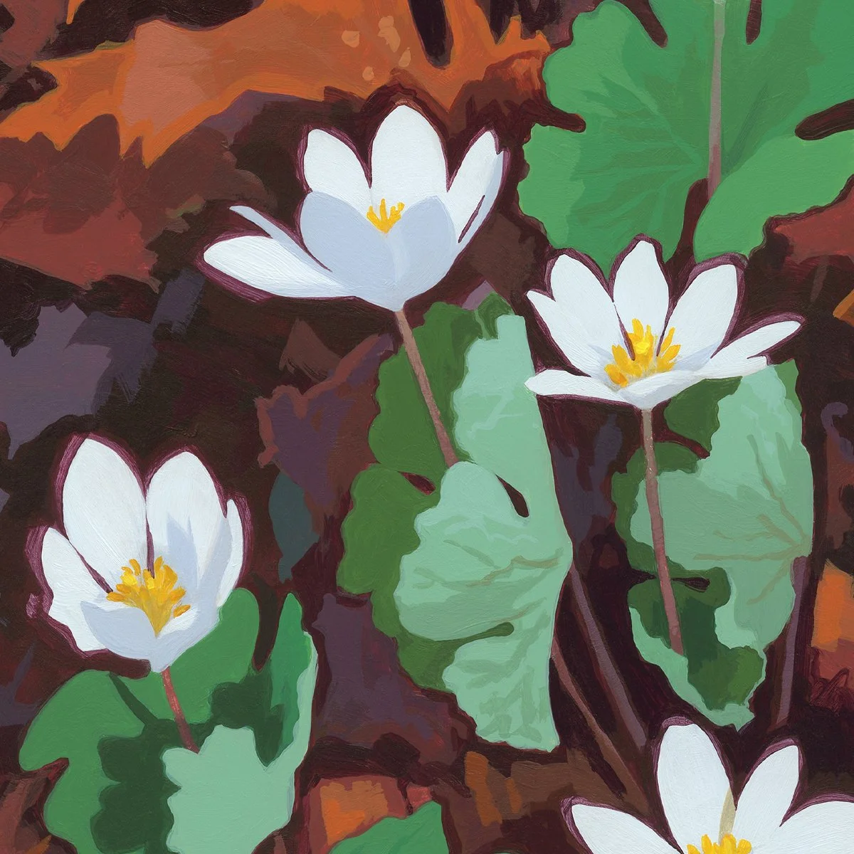 Bloodroot_Detail.jpg