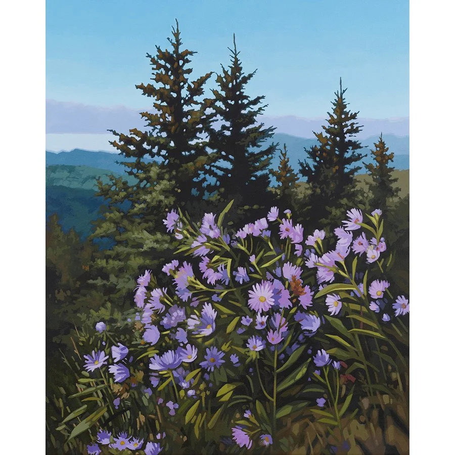 Mountaintop Asters