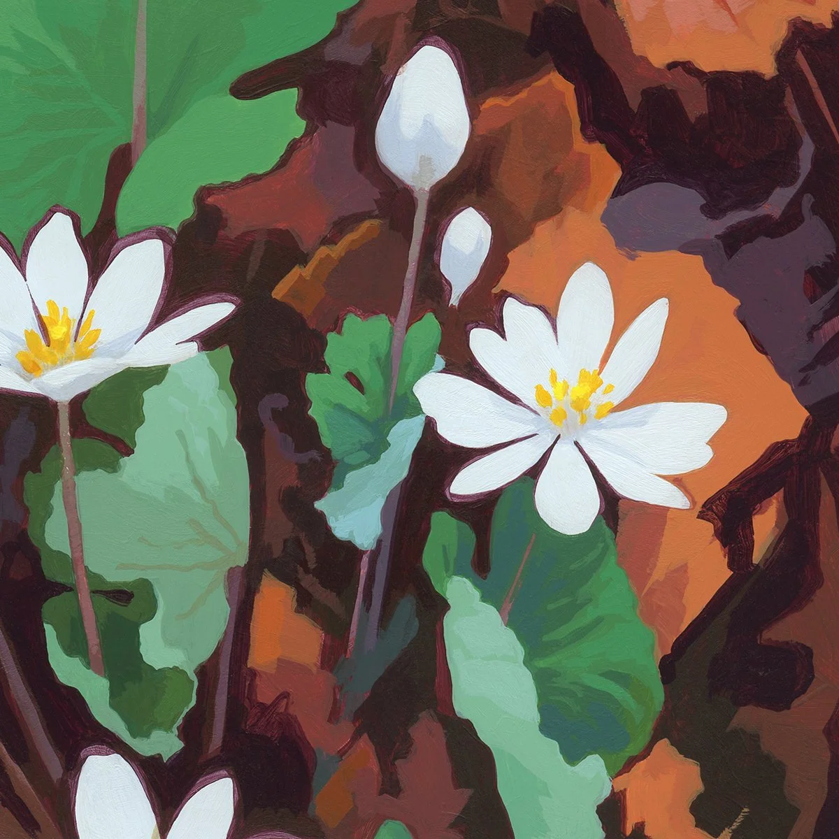 Bloodroot_Detail2.jpg