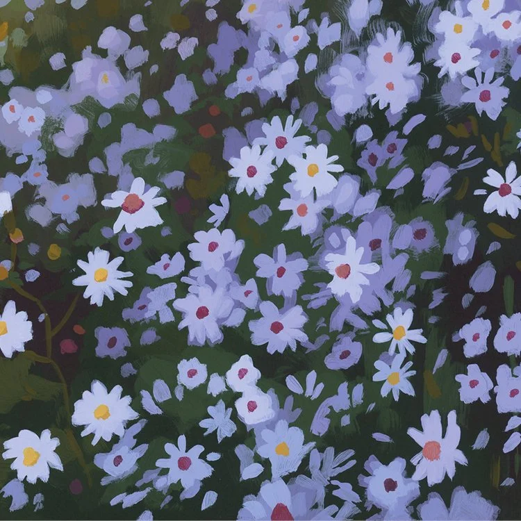 Woodland Asters
