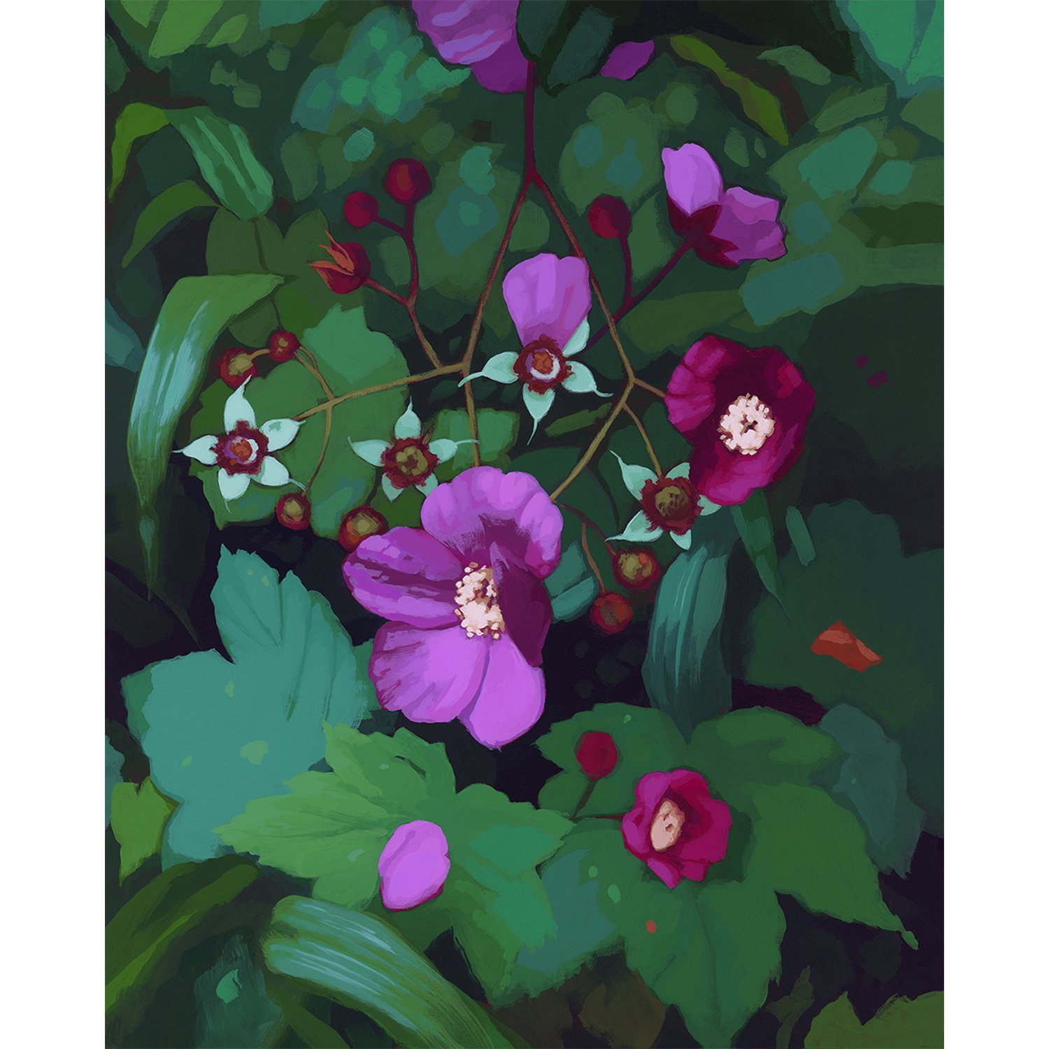 Sarah-Moore_Flowering Raspberry_Print.jpg