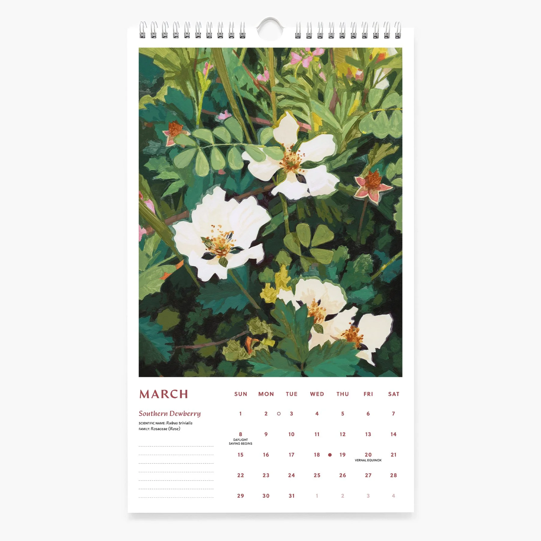 3-MAR_2026 Calendar_Sarah Moore.jpg