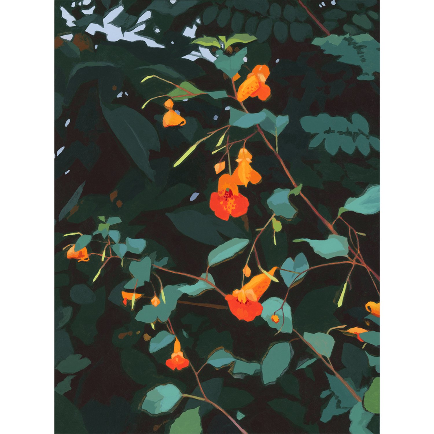 Sarah-Moore_Spotted Jewelweed_Print.jpg