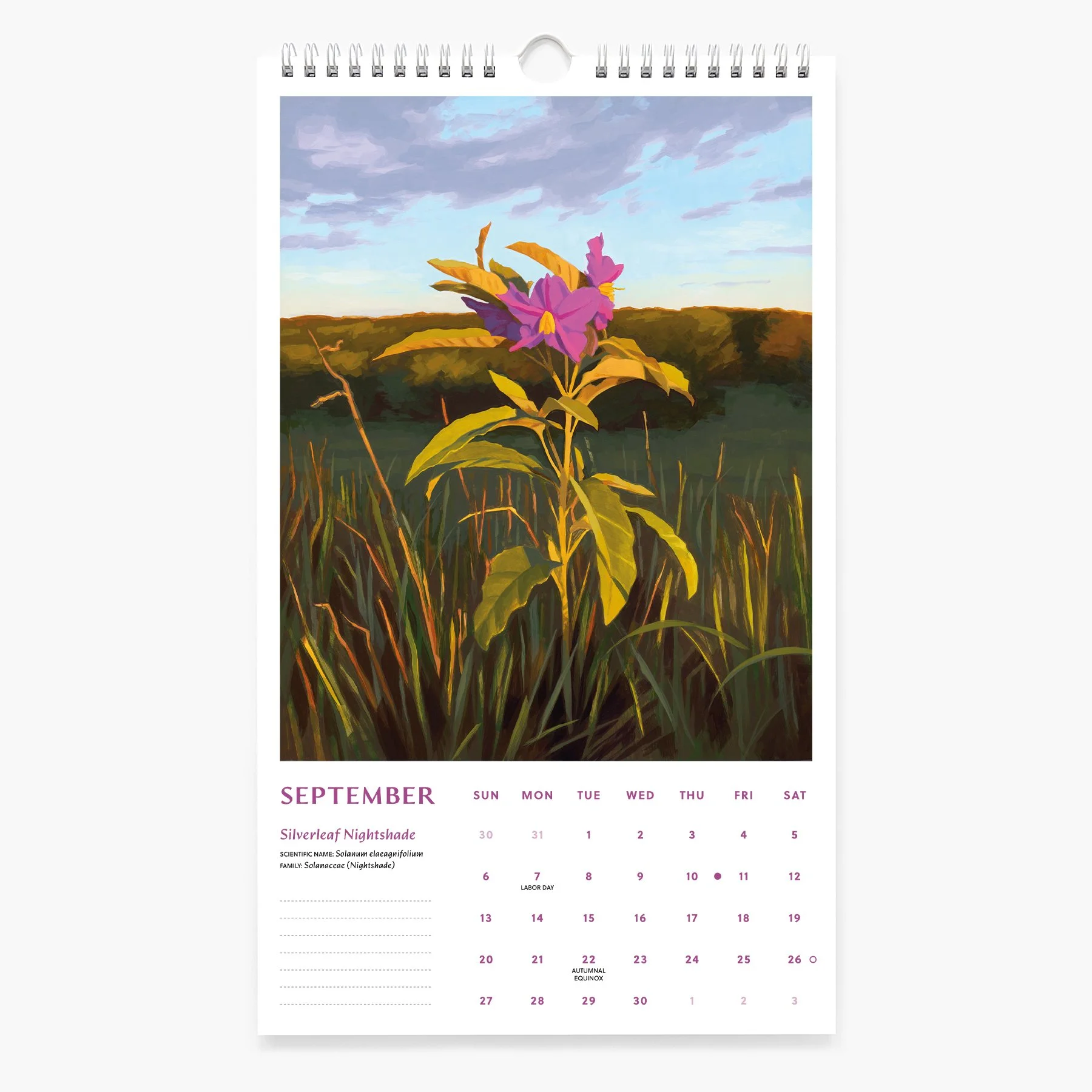 9-SEP_2026 Calendar_Sarah Moore.jpg