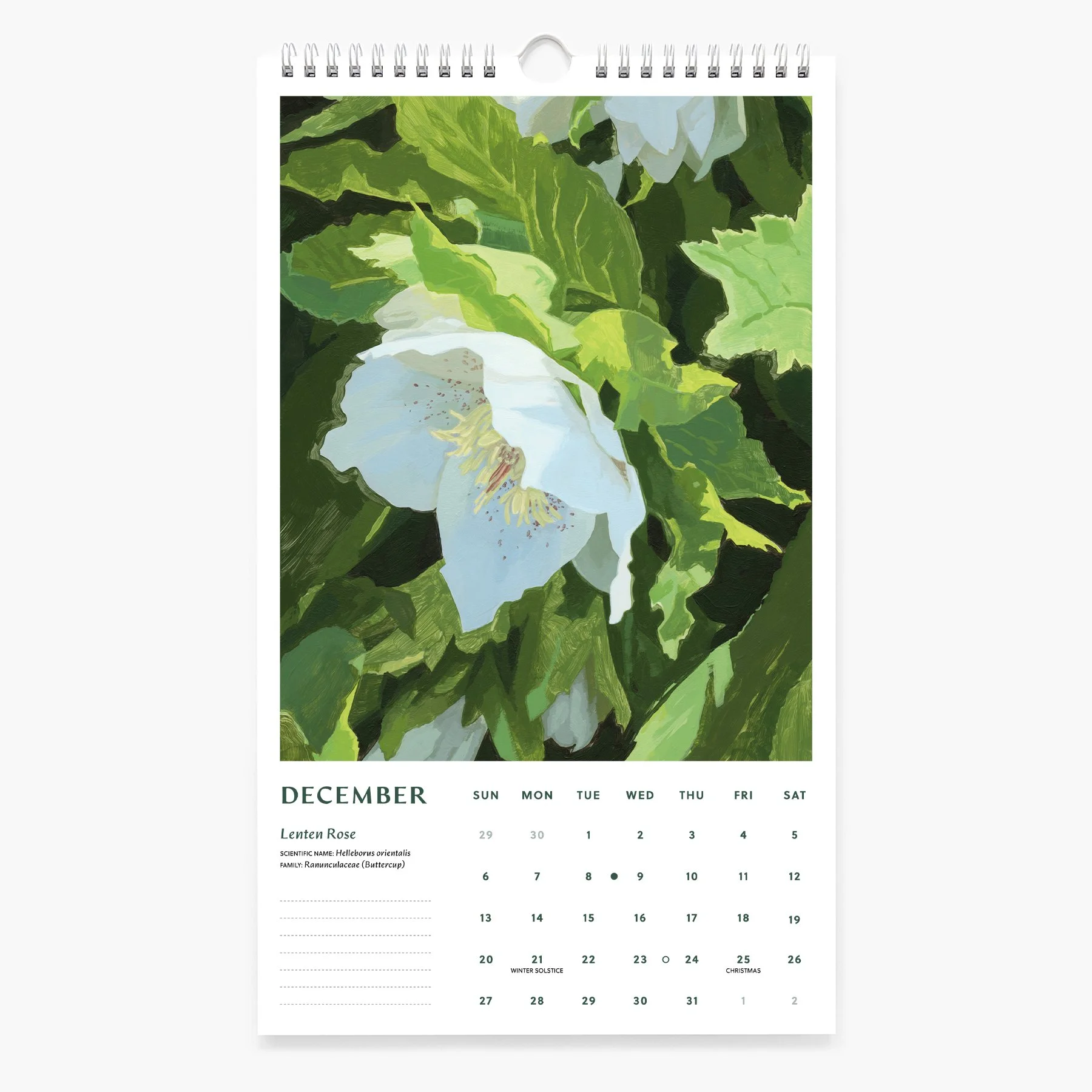 12-NOV_2026 Calendar_Sarah Moore.jpg