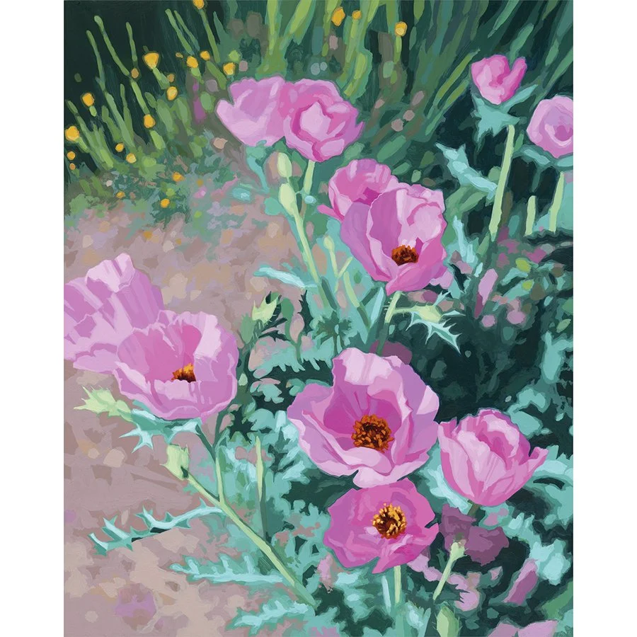 Sarah-Moore_PinkPricklyPoppy_print_web copy.jpg