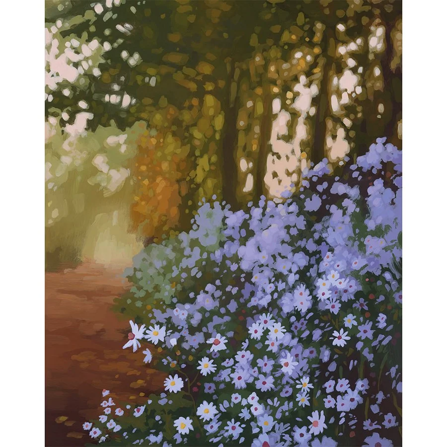 Woodland Asters