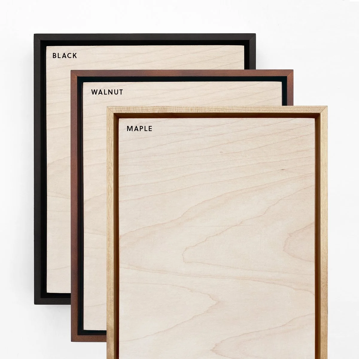 Frame Finish Options.jpg