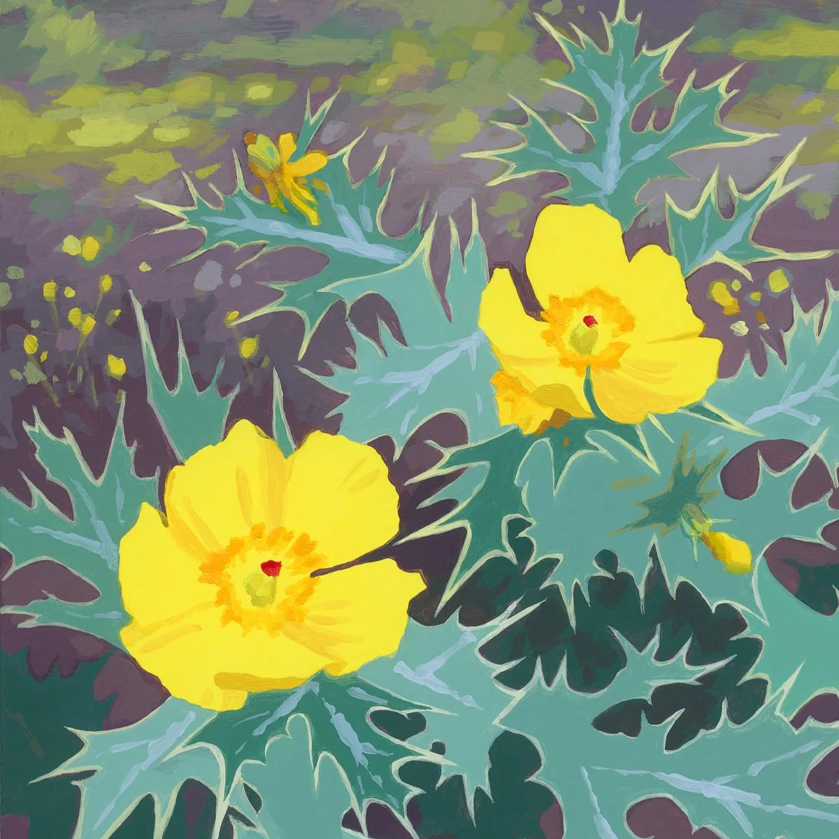 Mexican Prickly Poppy_Detail2.jpg