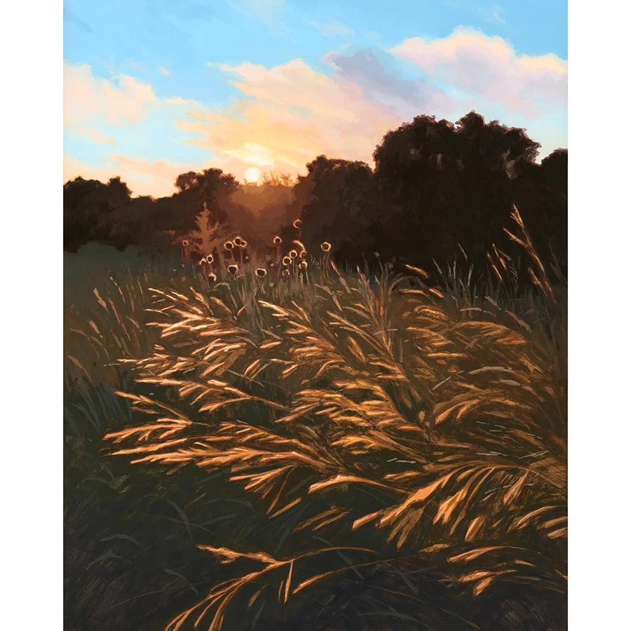 Tallgrass Prairie Sunset