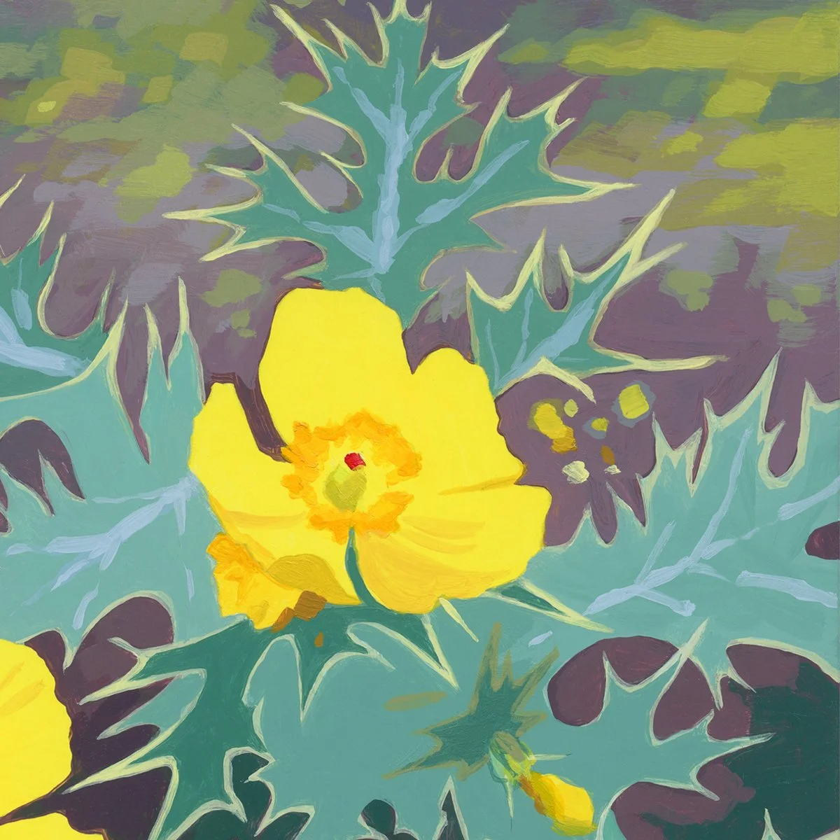 Mexican Prickly Poppy_Detail.jpg