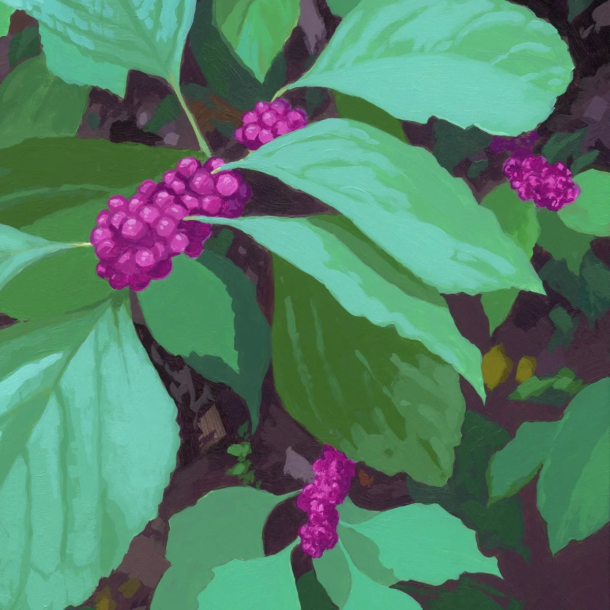 Beautyberry_Detail.jpg