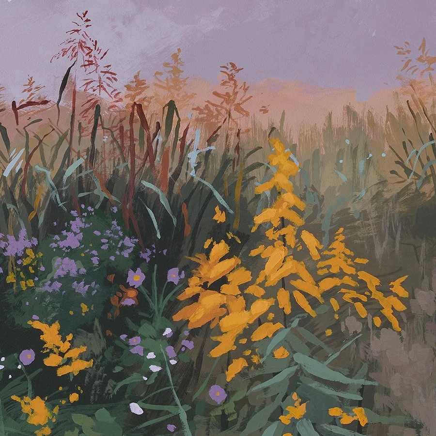 Sarah-Moore_Asters-and-Goldenrod_print-detail1_web.jpg