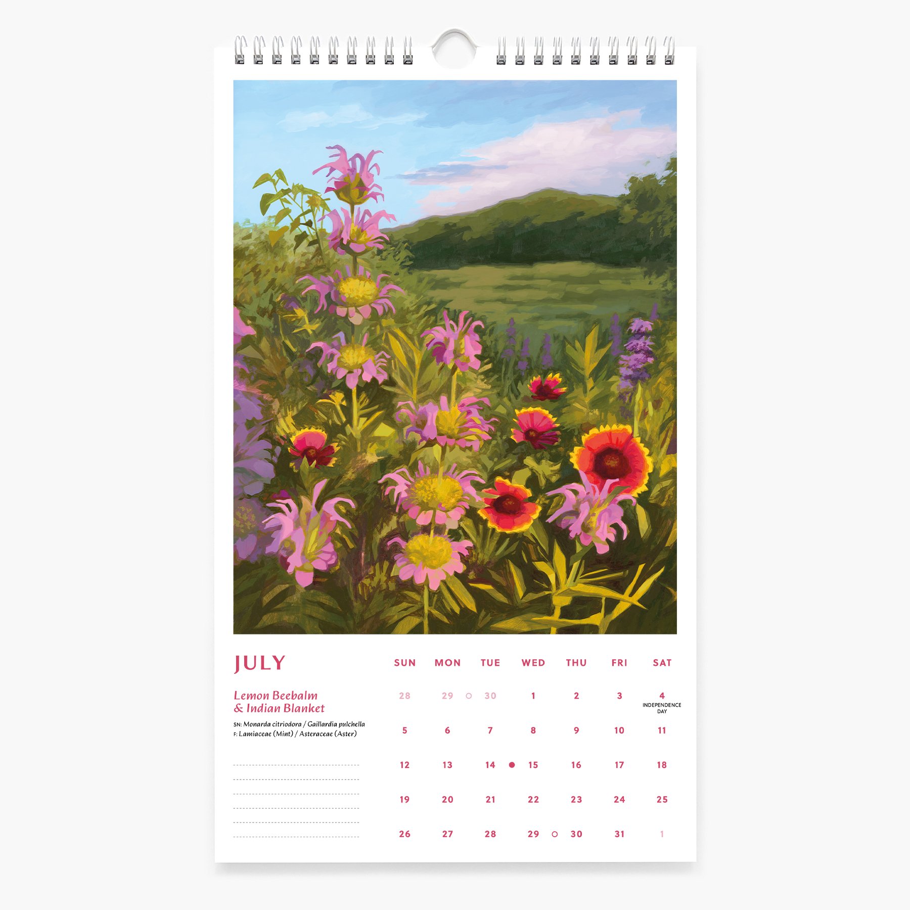 7-JUL_2026 Calendar_Sarah Moore.jpg