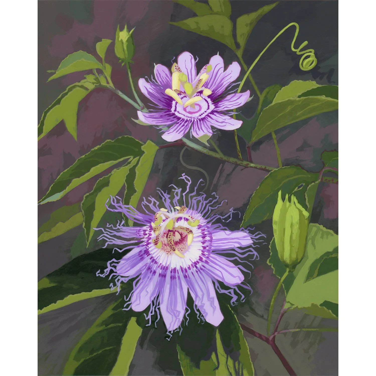 Sarah Moore_Purple Passion Flower_Web.jpg