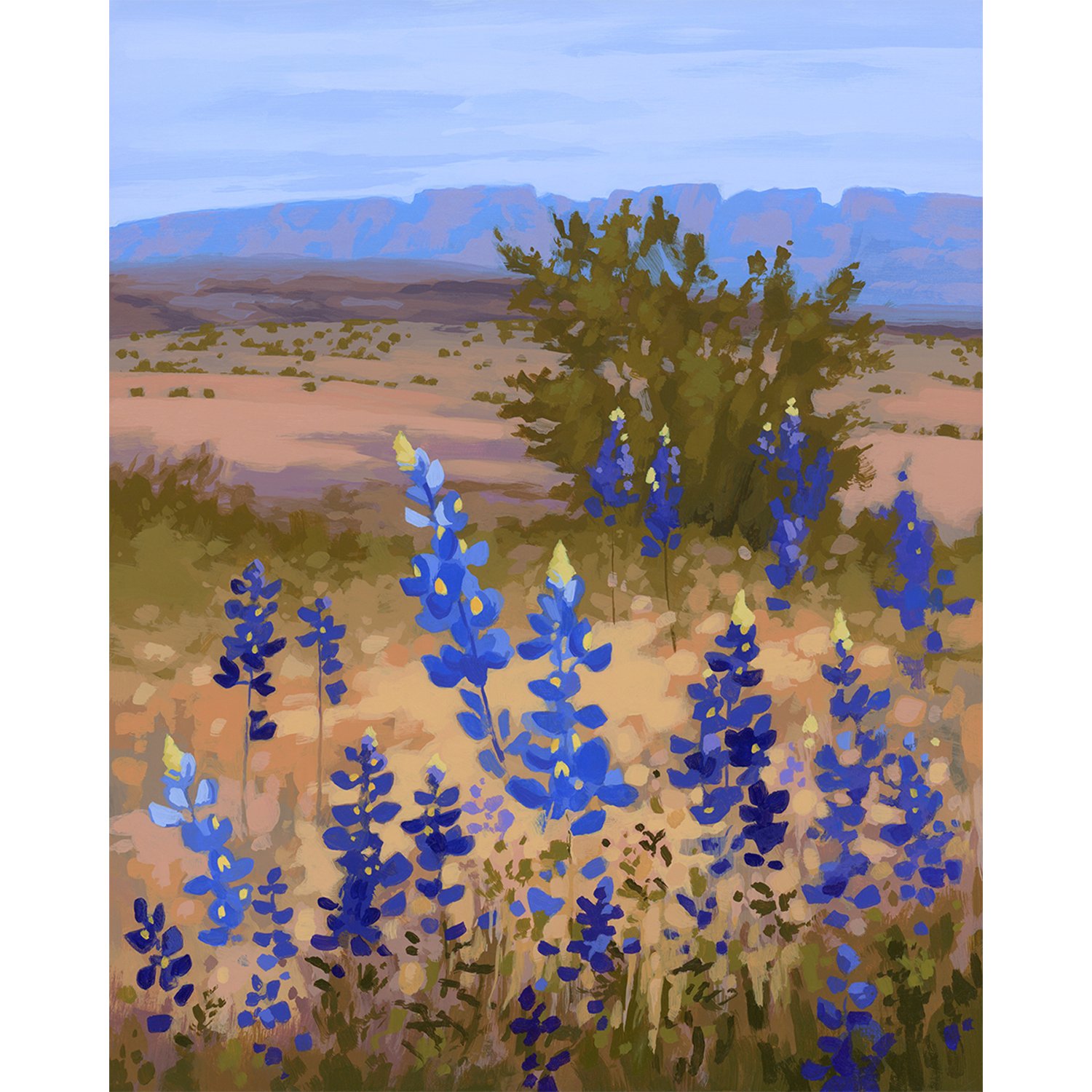 Sarah-Moore_Big Bend Bluebonnets_Print.jpg