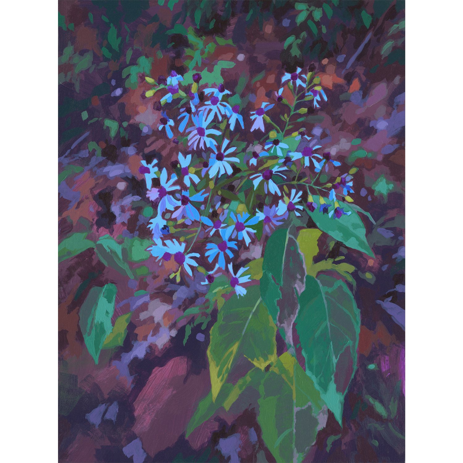 Sarah-Moore_Trailside Asters_Print.jpg