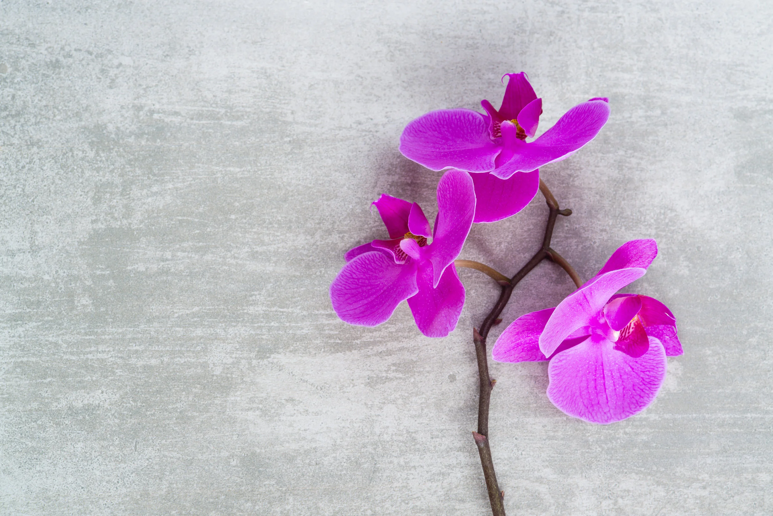 iStock-515057736.jpg