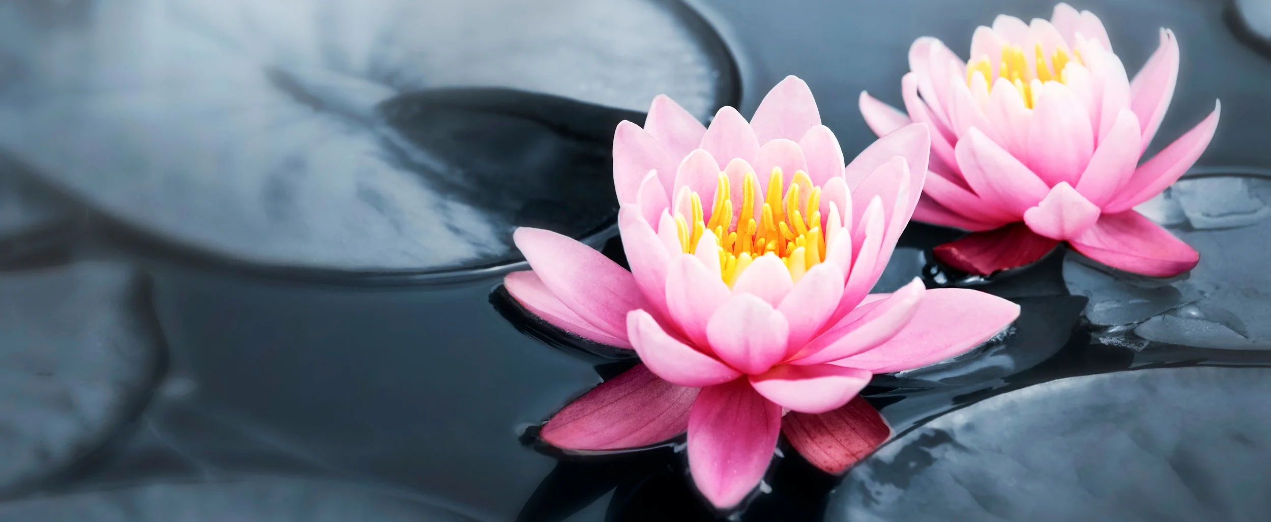 iStock-113566970.jpg