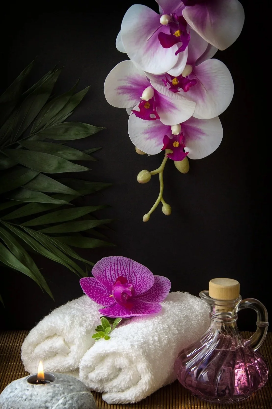 wellness-3793413_1920.jpg
