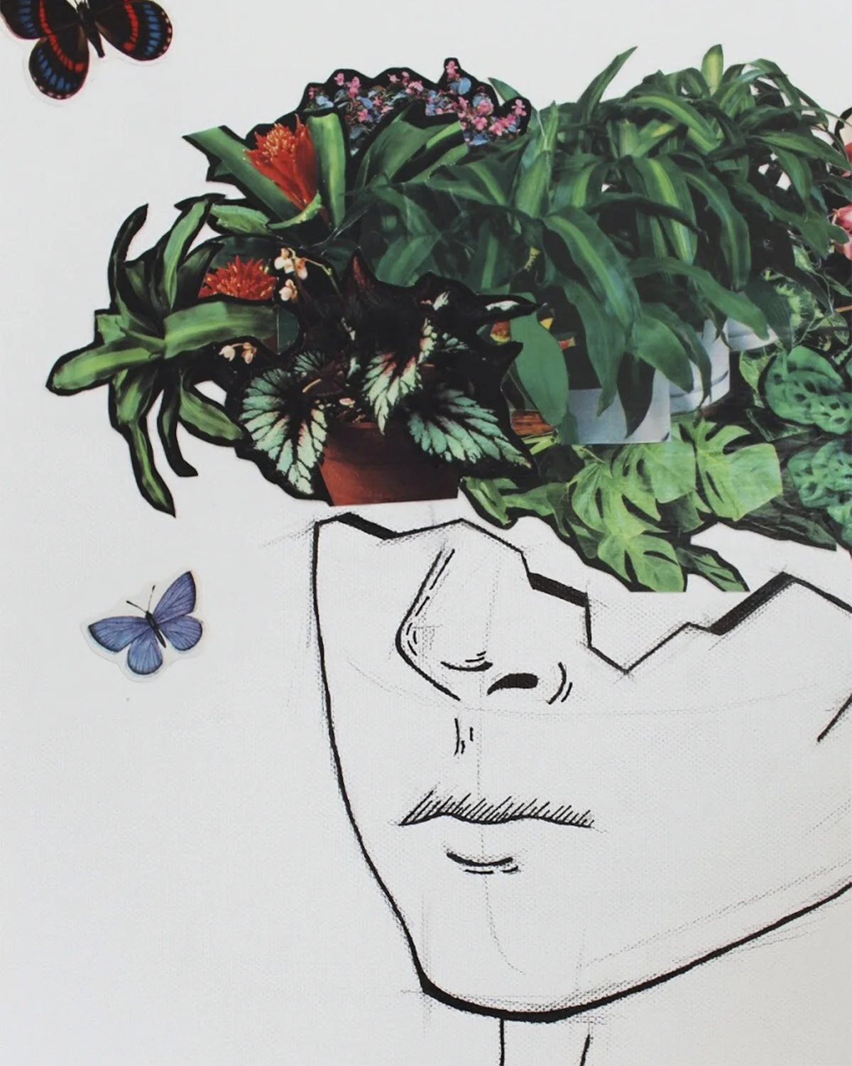 Lux Bloom (close up).JPG