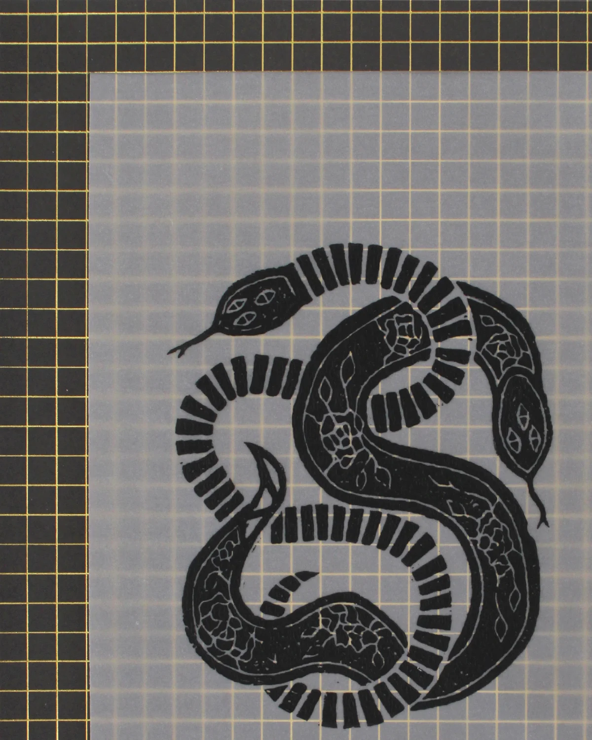 Black Snake (top left).jpg