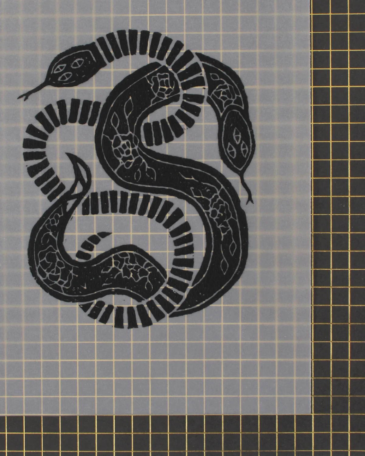 Black Snake (bottom right).jpg