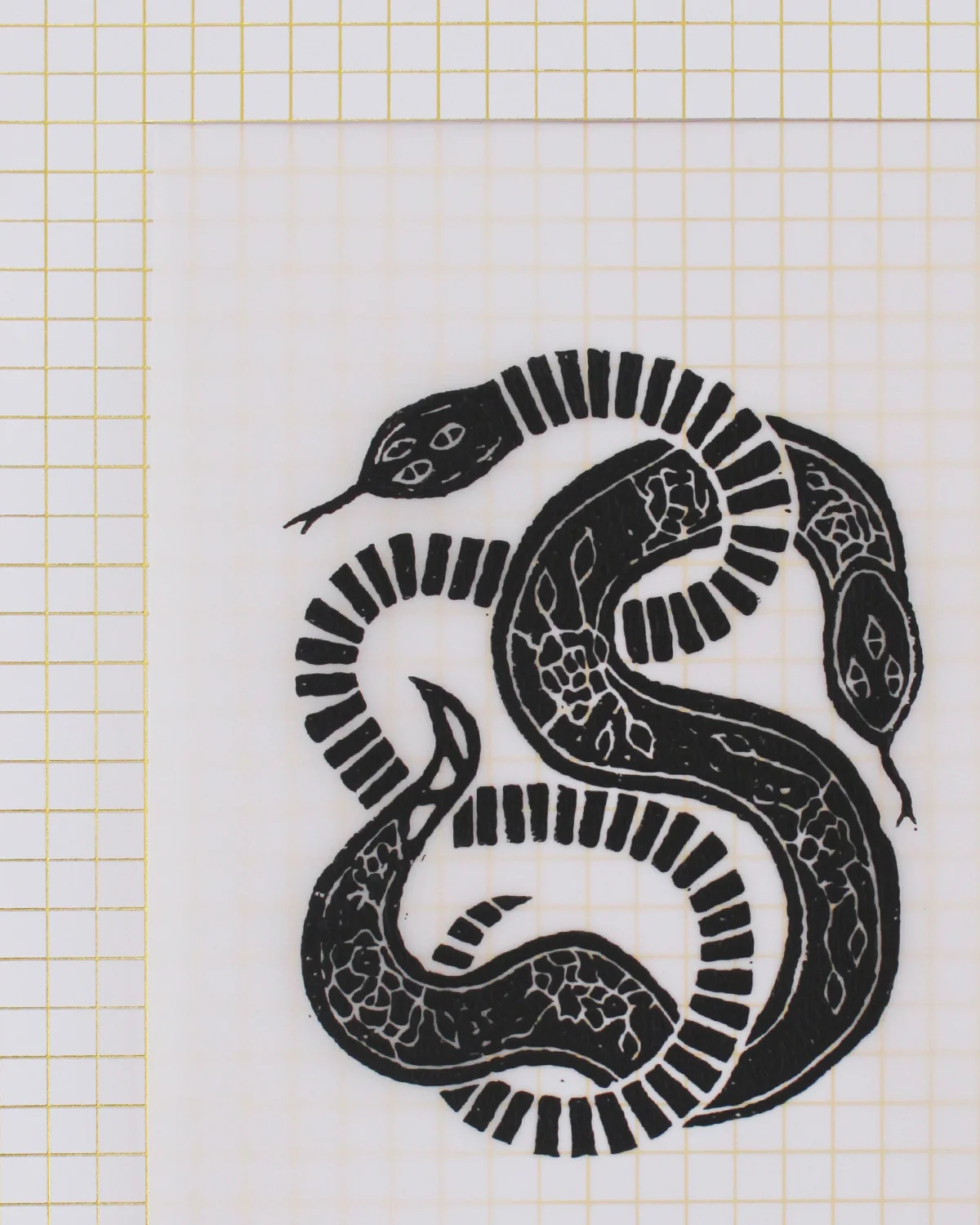 White Snake (top left).jpg