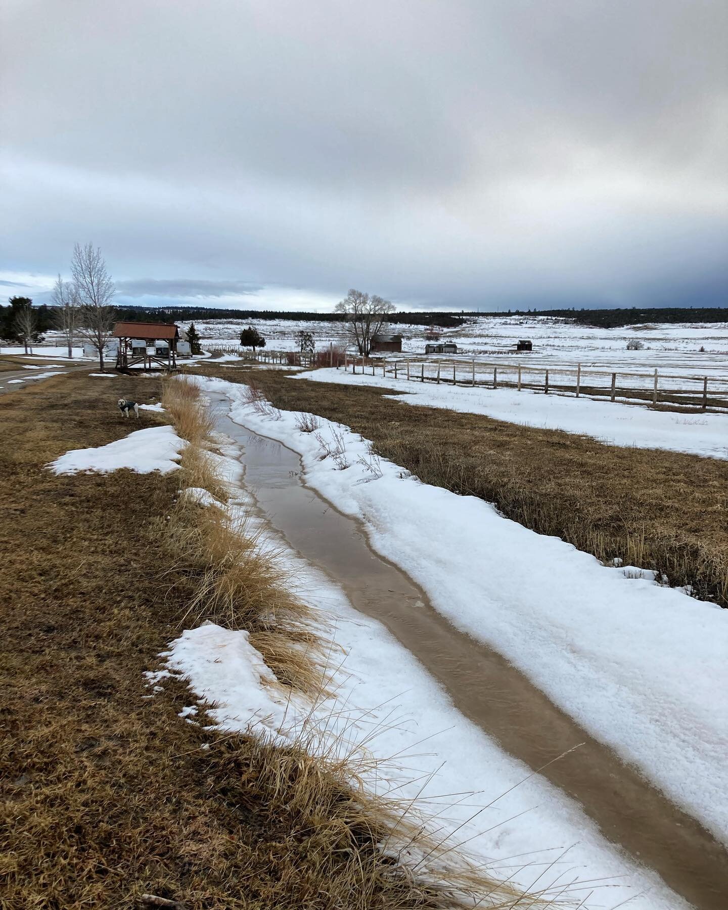 ditches are filling with snowmelt