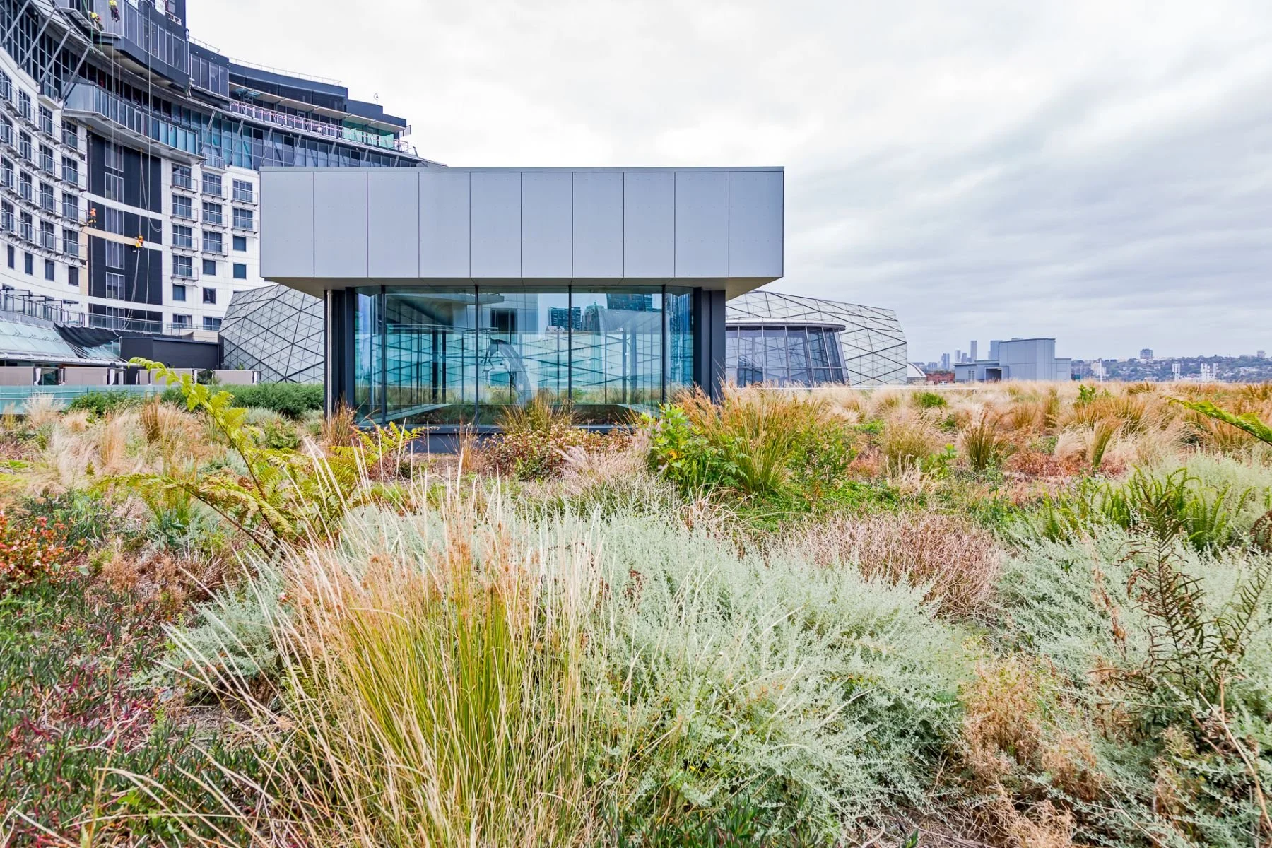 Star Casino Green Roof | Sydney, NSW