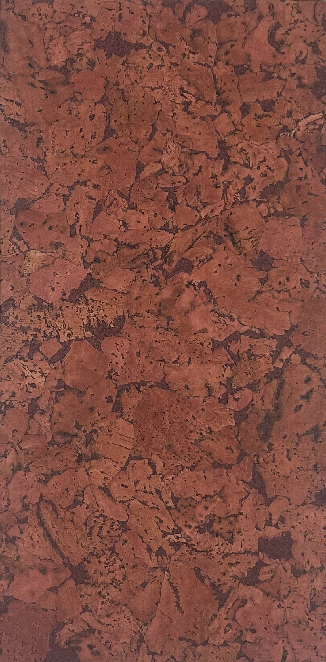 Sobreiro Collection - Earth - Cork Wall Tile & Cladding & Coverings - The Flooring Co
