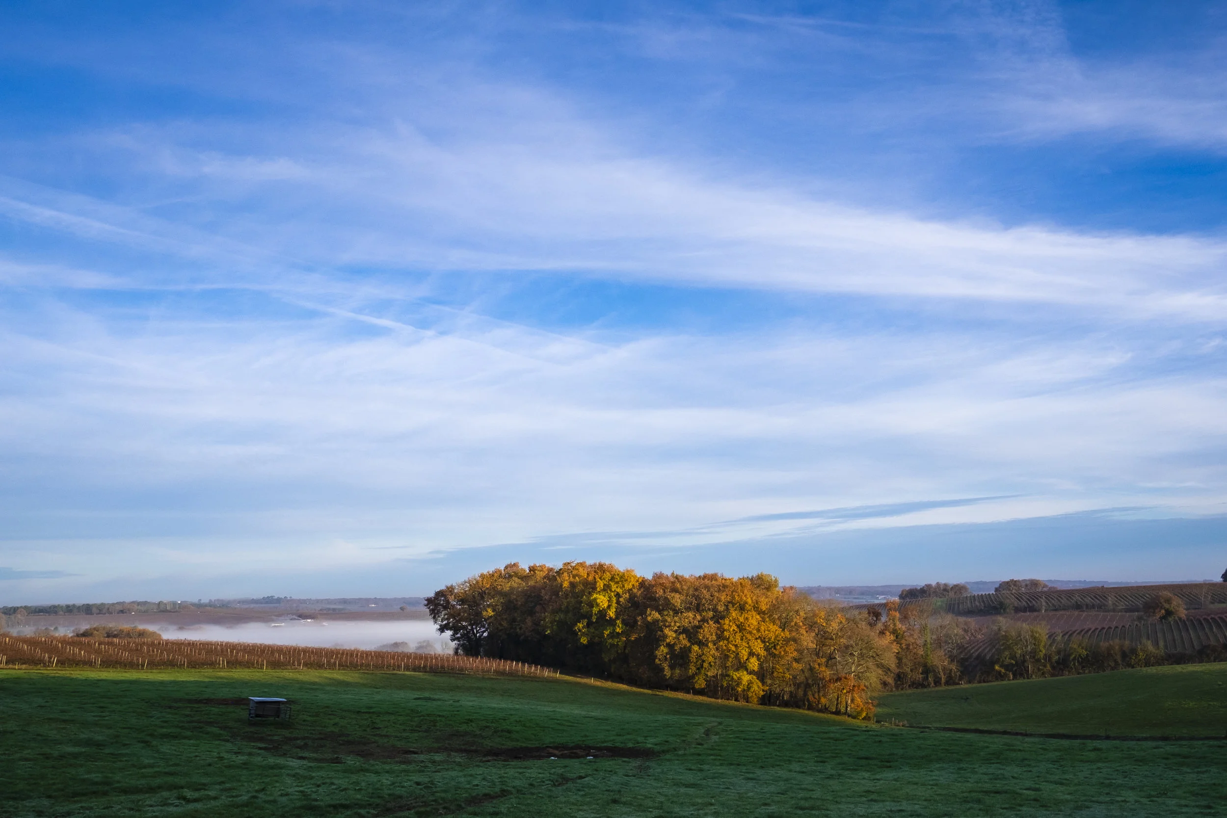 DSCF4935.jpg