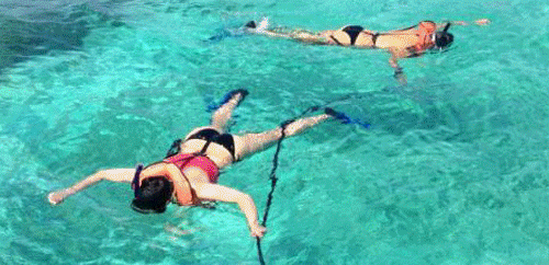 snorkelanim.gif