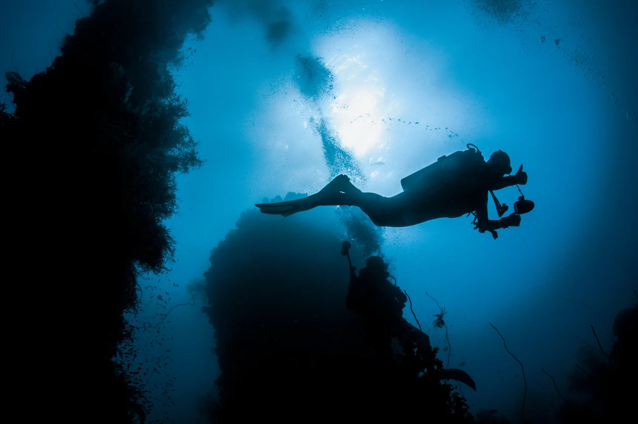 Wreck-Diving-1061470938_1259x836.jpeg